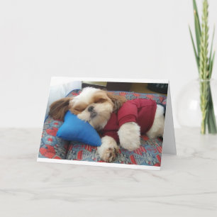 COMEDIC DOG SAYS DO THIS ON FATHERS DAY CARD