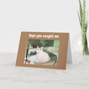 COMEDIC TURKISH VAN SAYS HAPPY BIRTHDAY CARD