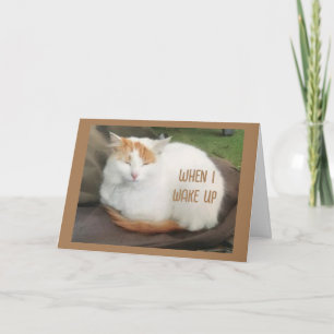 COMEDIC TURKISH VAN SAYS "HAPPY BIRTHDAY" CARD