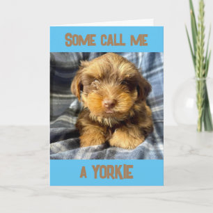 COMEDIC YORSHIRE TERRIER SAYS "HAPPY BIRTHDAY" CARD
