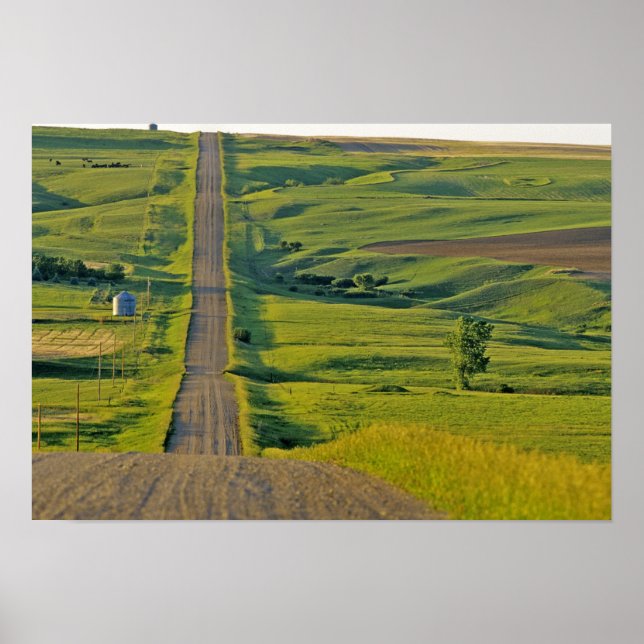 Comertown gravel road in remote northeastern poster (Front)