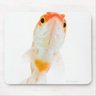Comet / Comet-tailed goldfish Mouse Pad