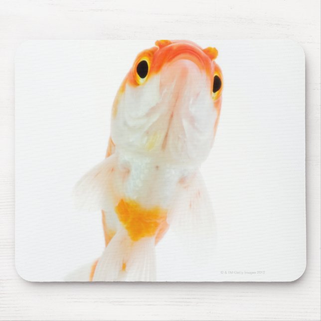 Comet / Comet-tailed goldfish Mouse Pad (Front)