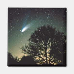 Comet Hale-Bopp and Tree Magnet
