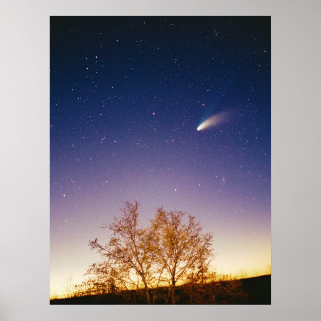 Comet Hale Bopp Poster (Front)