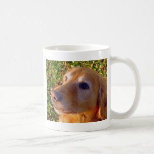 Comet, sit, stay Good Boy! Coffee Mug