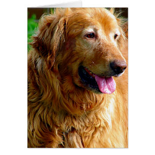 Comet with Oil Paint Effect