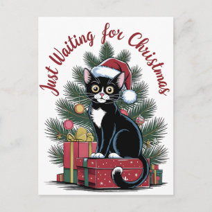 Comfort Colors® Christmas Tree And Cat 2025 Postcard