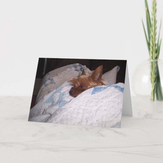 Comfort from Alfie Card (Front)