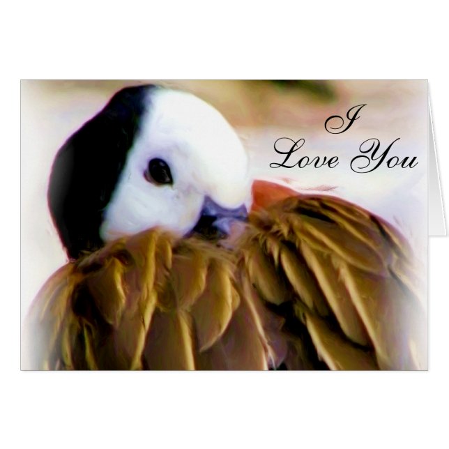 Comfort of love_ (Front Horizontal)