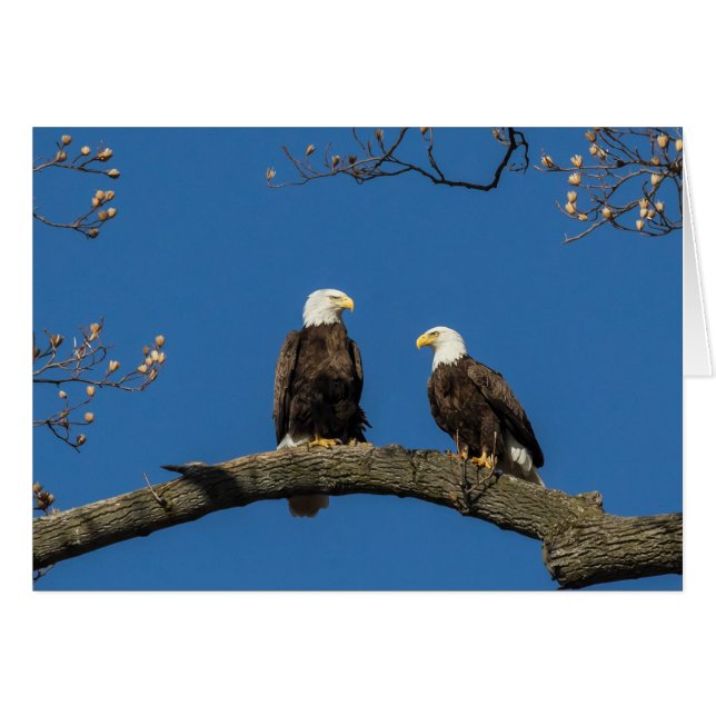 Comfortable Around You (Front Horizontal)