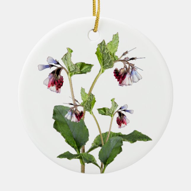 Comfrey. Ceramic Ornament (Front)