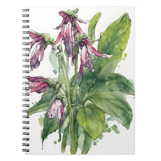 Comfrey - Watercolor flowers Notebook (Front)