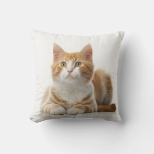 Comfy Coziness: The Lazy Ginger Cat Pillow