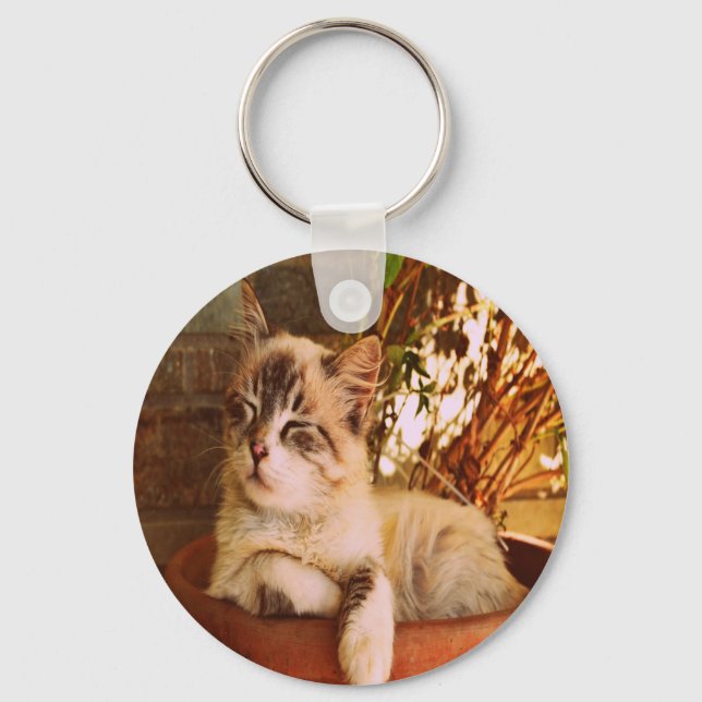Comfy Sleepy Kitty Key Ring (Front)