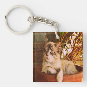 Comfy Sleepy Kitty Key Ring