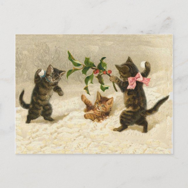 comic cats cat snowball fight Vintage Christmas Holiday Postcard (Front)