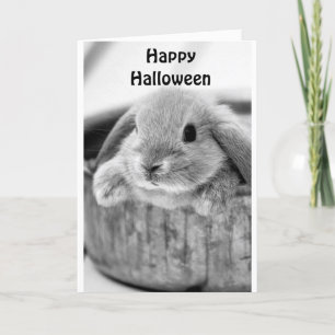 COMICAL BUNNY SAYS **HAPPY HALLOWEEN**  HOLIDAY CARD