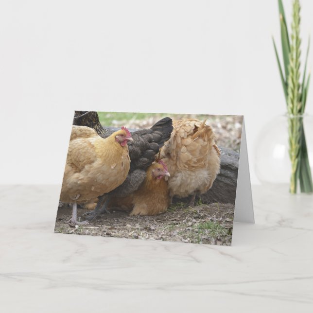 Comical Chicken Notecard (Front)
