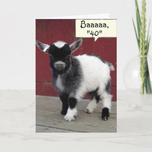 *COMICAL GOAT* YOU STILL LOOK "39" ON YOUR *40th* Card