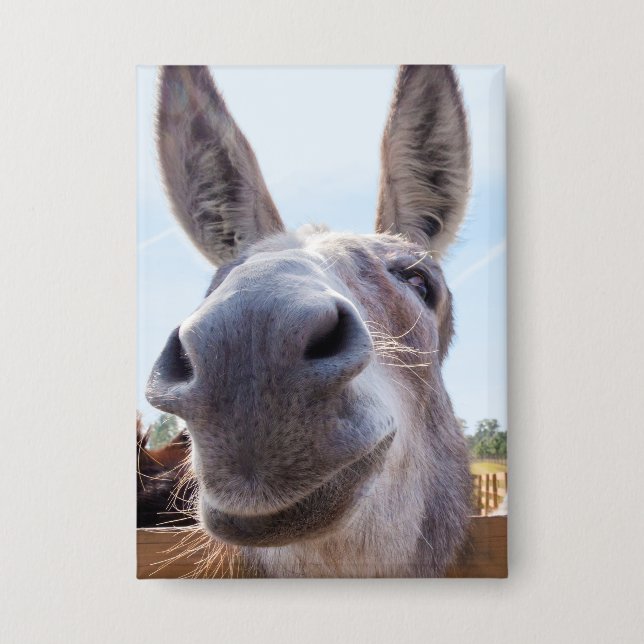 Comical Grey Smiling Donkey (Front)