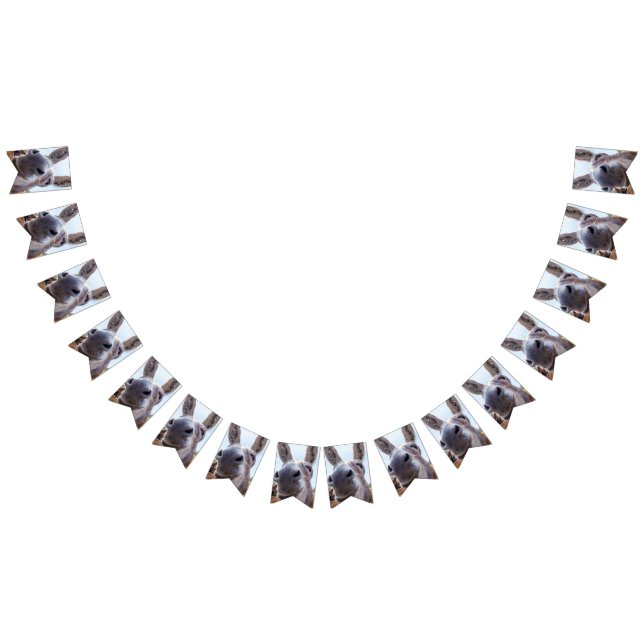 Comical Grey Smiling Donkey Bunting (All)