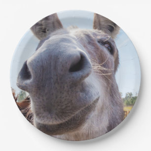 Comical Grey Smiling Donkey Paper Plate