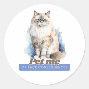 Comical Kitten Gifts for Cat Lovers Classic Round Sticker