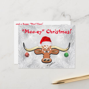 Comical Longhorn Steer Postcard