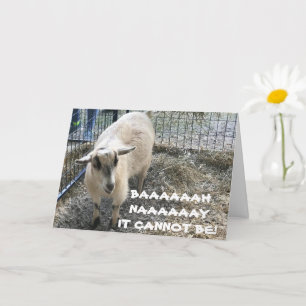 COMICAL SHEEP DIDN'T KNOW U WERE "THAT OLD" CARD