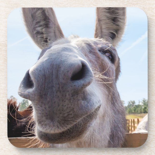 Comical Smiling Grey Donkey Coaster (Front)