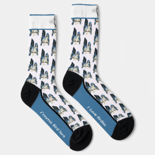 Comical Steller's Jay Bird Socks