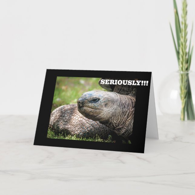 **COMICAL TURTLE** SAYS YOU NEVER AGE! CARD (Front)