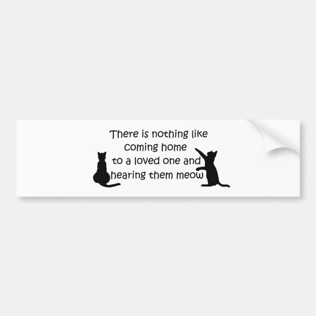 Coming Home to a Cat Bumper Sticker (Front)