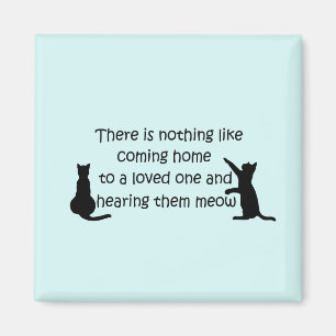 Coming Home to a Cat Magnet