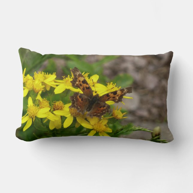 Comma Butterfly in Glacier National Park Lumbar Cushion (Front)