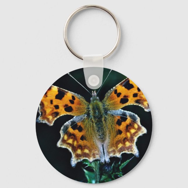 Comma butterfly key ring (Front)