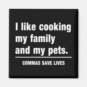 Commas Save Lives Magnet