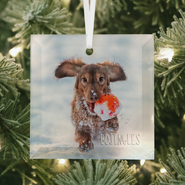 Commemorative Keepsake Pet Photo  Glass Tree Decoration (Insitu)
