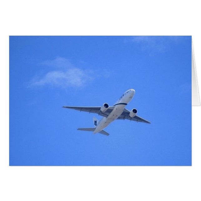 Commercial Airliner (Front Horizontal)