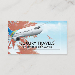 Commercial Plane Island and Birds Business Card