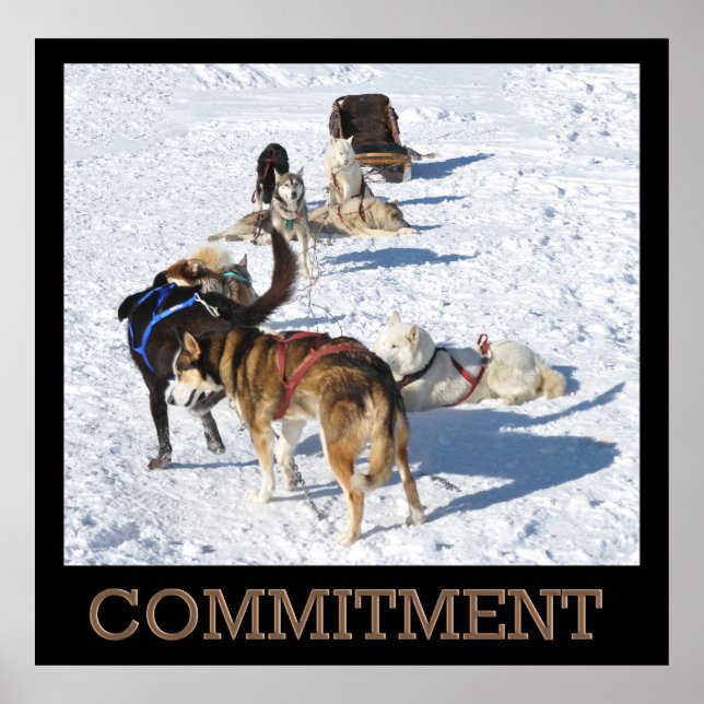 Commitment Sled Dogs Poster (Front)
