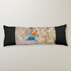 Common Agama Body Cushion