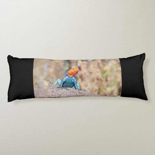 Common Agama Body Cushion (Back)