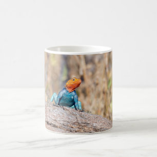 Common Agama Coffee Mug