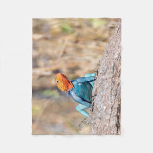 Common Agama Fleece Blanket