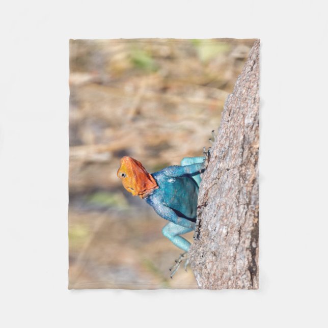 Common Agama Fleece Blanket (Front)