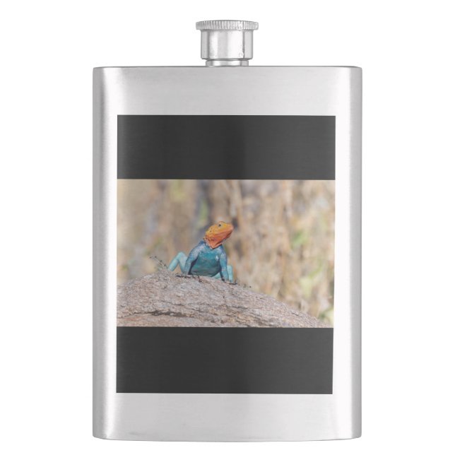 Common Agama Hip Flask (Front)