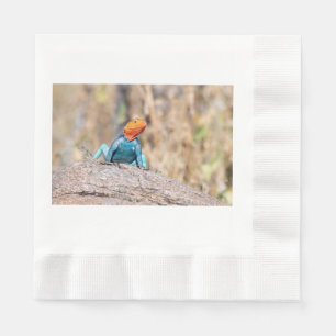 Common Agama Napkin