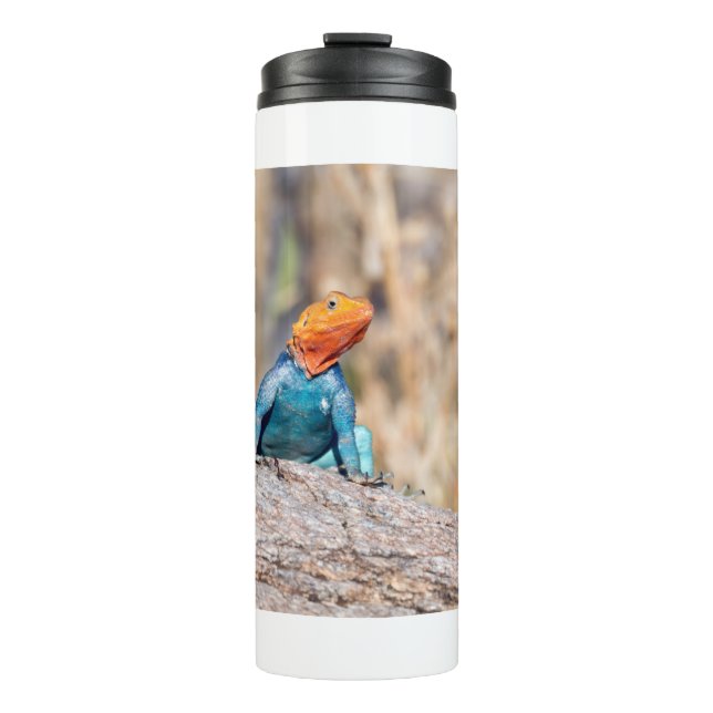 Common Agama Thermal Tumbler (Front)